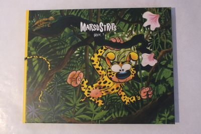 l'image d'une photo d'une photo d'un chat dans la jungle