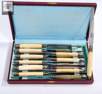 Lot de 12 couteaux manches en corne en coffret (usure d'usag…