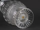 a clear glass vase with a flower inside of it
