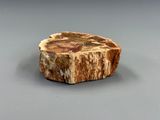a small piece of rock that is sitting on a table