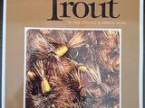 la couverture d'un livre sur laquelle figure l'image d'un essaim de mouches