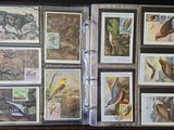 beaucoup de timbres à l'intérieur d'un classeur