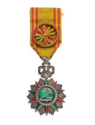Gros plan sur une médaille portant une étoile