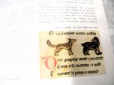 un livre sur lequel figure l'image d'un chien et d'un chat