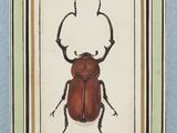Photo 9/21 du lot