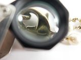 someone is looking through a magnifying glass at a fish