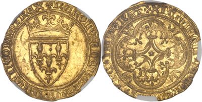 a gold coin with a shield on the front and a shield on the back