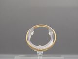 an image of a gold and silver ring sitting on top of a clear stand