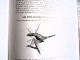 une photo d'un livre sur lequel figure le dessin d'un oiseau
