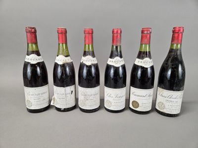 six bouteilles de vin sont alignées sur une table