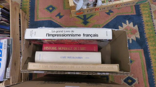 Carton de livres d’art : citadelles Mazenod art précolombien, l’h...