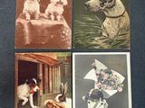several cards of dogs are shown on a table