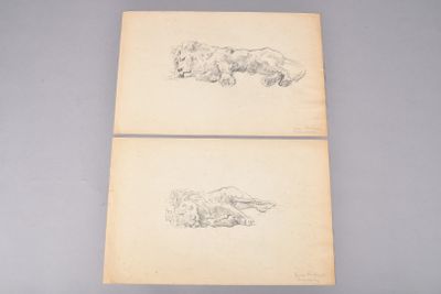 deux dessins d'animaux sur une feuille de papier, dont l'un est couché