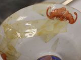 a close up of a bowl with a toothpick sticking out of it