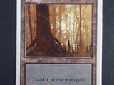 a picture of a card with a picture of a tree in the background