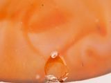 a close up of a piece of food on a plate