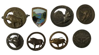 plusieurs types différents d'insignes métalliques sur un fond blanc