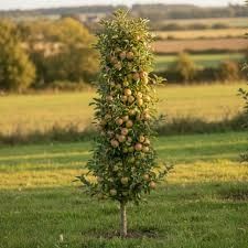 Destockage & Invendus