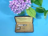 purple flowers in a vase and a pair of scissors in a case