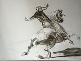 dessin représentant une femme à cheval, sur une image en noir et blanc
