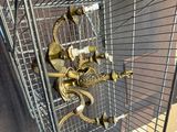 a bird that is sitting in a cage on the floor