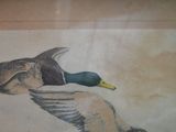 a painting of a duck flying in the air