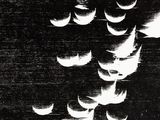 an image of a black and white photo of a bunch of moon phases