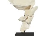 sculpture représentant une fleur blanche sur un socle noir, sur fond blanc