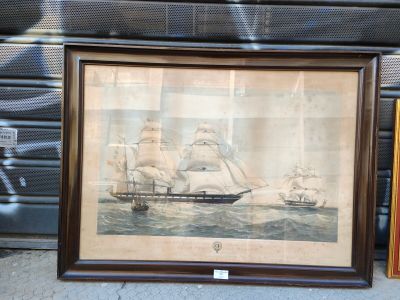 T.G DUTTON: "Coesus - The general screw steam shiping compy'…