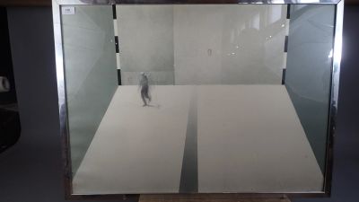 une vitrine en verre contenant une petite figurine