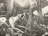 a drawing of a group of dogs in the woods
