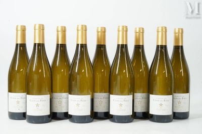 six bouteilles de vin blanc alignées sur une surface blanche