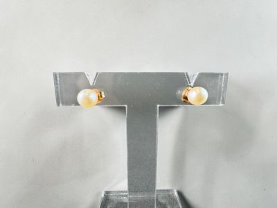 a close up of a pair of earrings on a stand