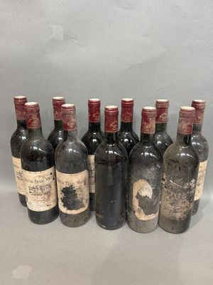 plusieurs bouteilles de vin sont alignées sur une table