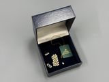 an image of a box with a pair of earrings in it