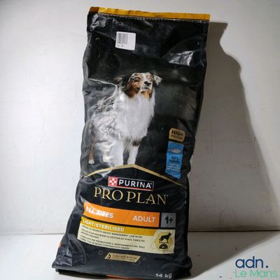 un gros plan sur un sac de croquettes posé sur une table