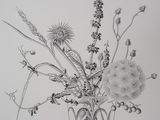 pencil drawing of a vase of wildflowers and grasses in a vase