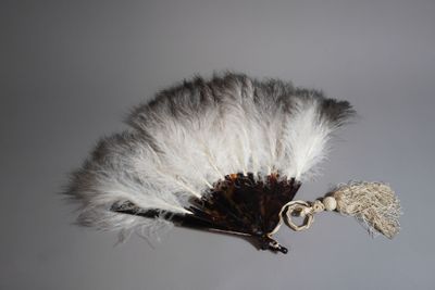 une plume blanche et noire surmontée d'un anneau