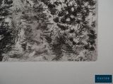 a black and white drawing on a white wall