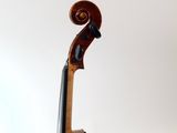 a close up of a violin on a stand against a white background