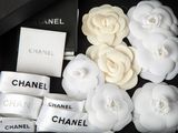 a black box with a bunch of white flowers in it