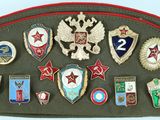 an image of a military hat with a lot of badges on it