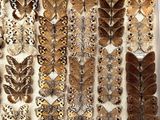 many different types of moths displayed in a display case