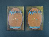 two magic the gathering deck protectors