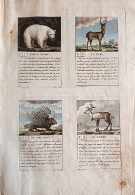 four pictures of animals on the page of a book