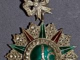une médaille verte et dorée ornée d'une étoile