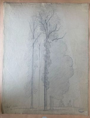 dessin représentant un groupe d'arbres dans un parc, avec un banc au premier plan