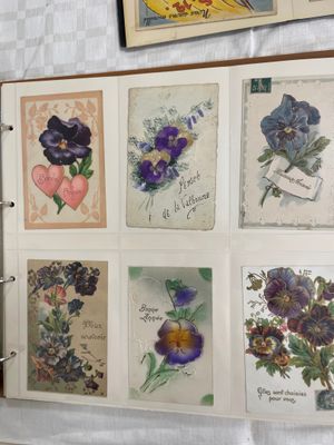 1 Classeur havane avec des CPA sur le thème Fleurs :Pensées,…