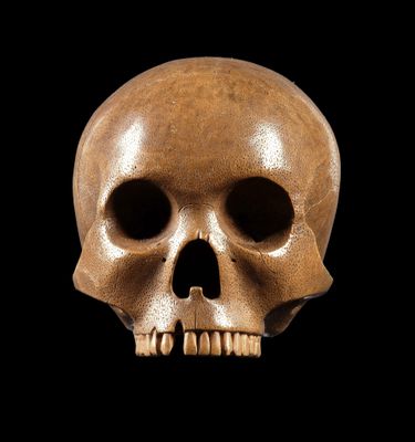 a skull that is sitting on a black surface