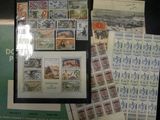 de nombreux timbres exposés sur une table